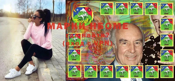 шишки Аркадак