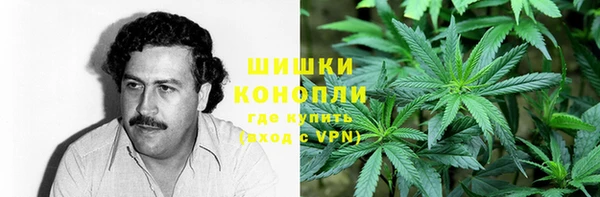 шишки Аркадак