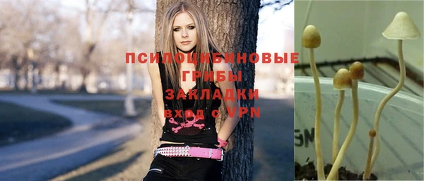 шишки Аркадак