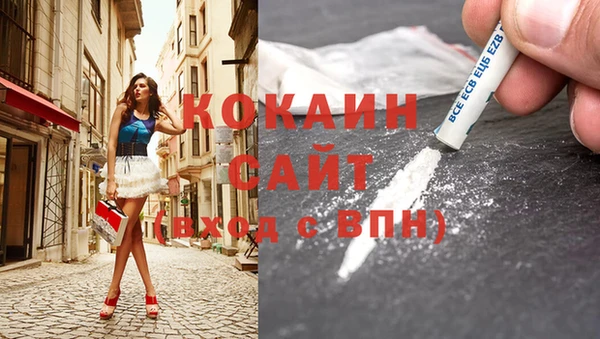 шишки Аркадак