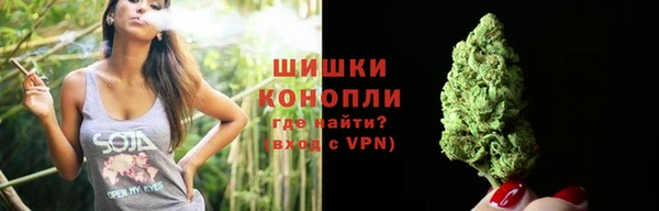 шишки Аркадак
