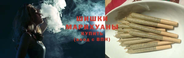 шишки Аркадак
