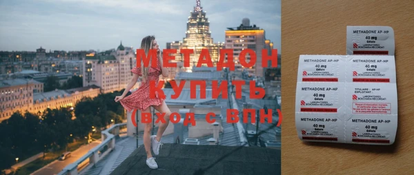 шишки Аркадак