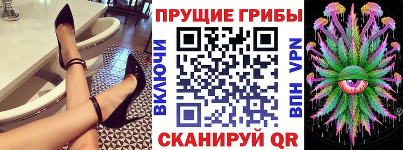 Псилоцибиновые грибы прущие грибы  Дорогобуж 